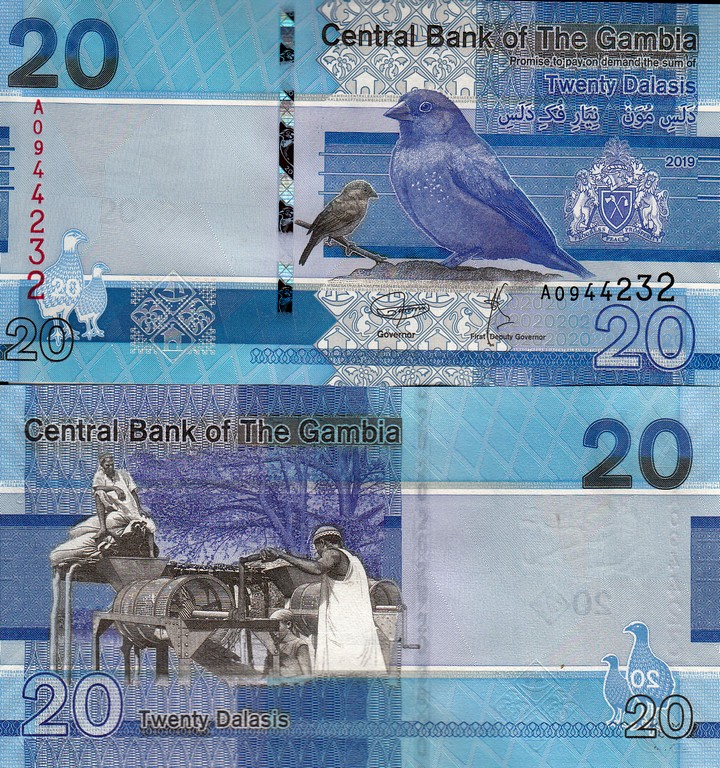 Гамбия  Банкнота 20 даласи 2019 UNC