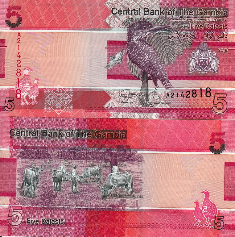 Гамбия  Банкнота 5 даласи 2019 UNC