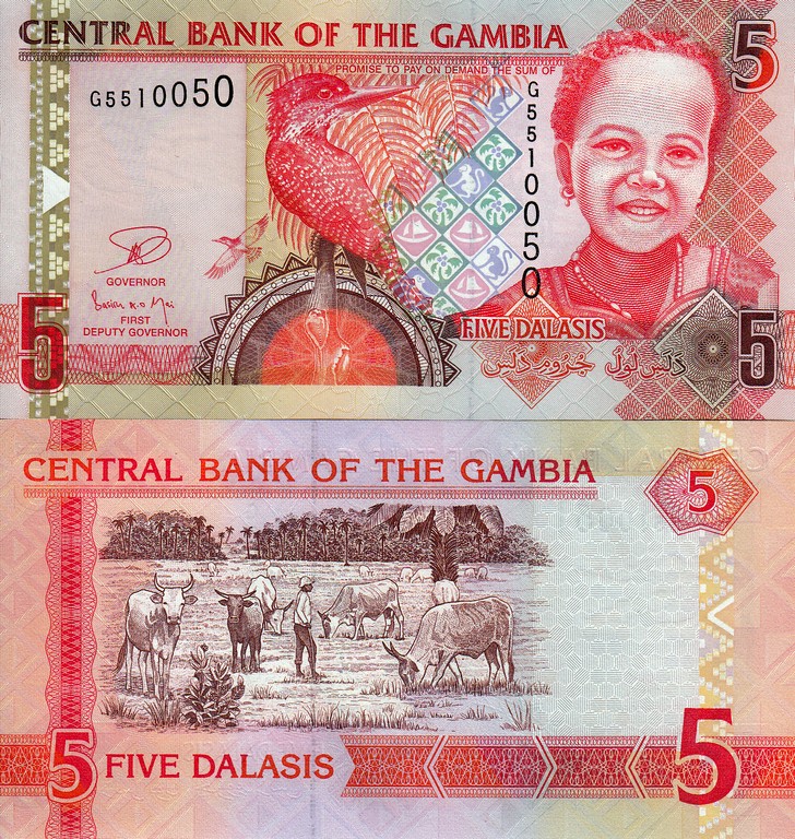 Гамбия  Банкнота 5 даласи 2012 UNC