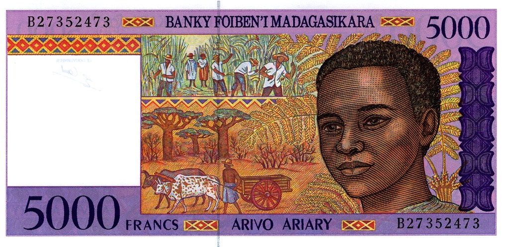 Мадагаскар Банкнота 5000 франков (1000 ариари)  1995 UNC 