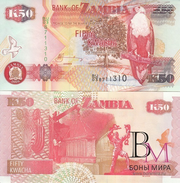 Замбия Банкнота 50 квач 2009  UNC