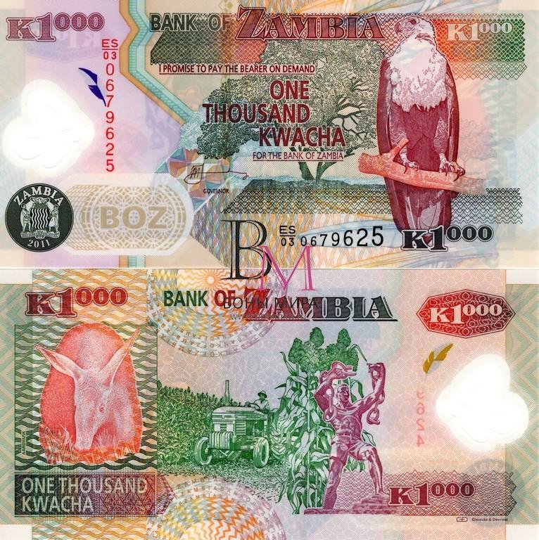 Замбия Банкнота 1000 квачи 2011 пластик
