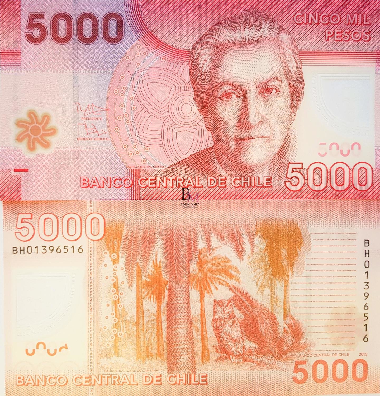Чили Банкнота 5000 песо 2013 UNC