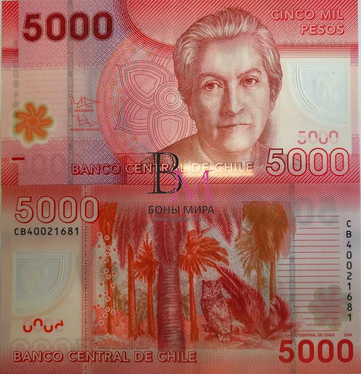 Чили Банкнота 5000 песо 2014 VF