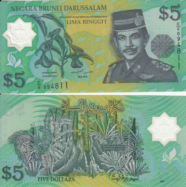 Бруней Банкнота 5 ринггит 2002 UNC P23b