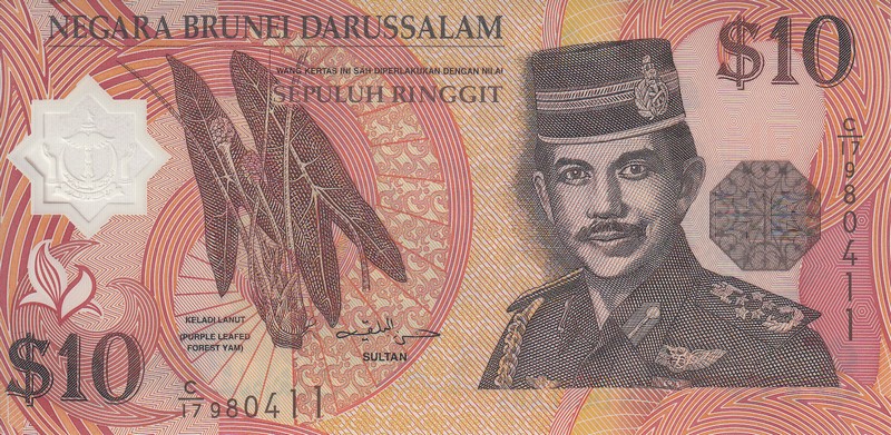Бруней Банкнота 10 ринггит 1998 UNC P24b